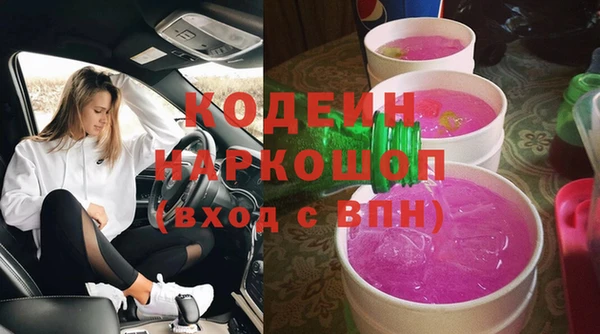 молекула духа Козловка
