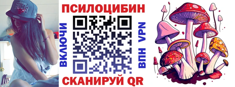 продажа наркотиков  darknet как зайти  Псилоцибиновые грибы Cubensis  Кодинск 